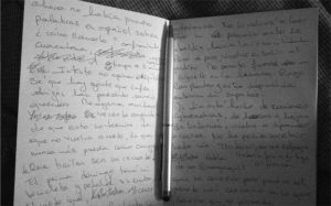 1Alice Goy Billaud 300x187 - 1Alice_Goy-Billaud